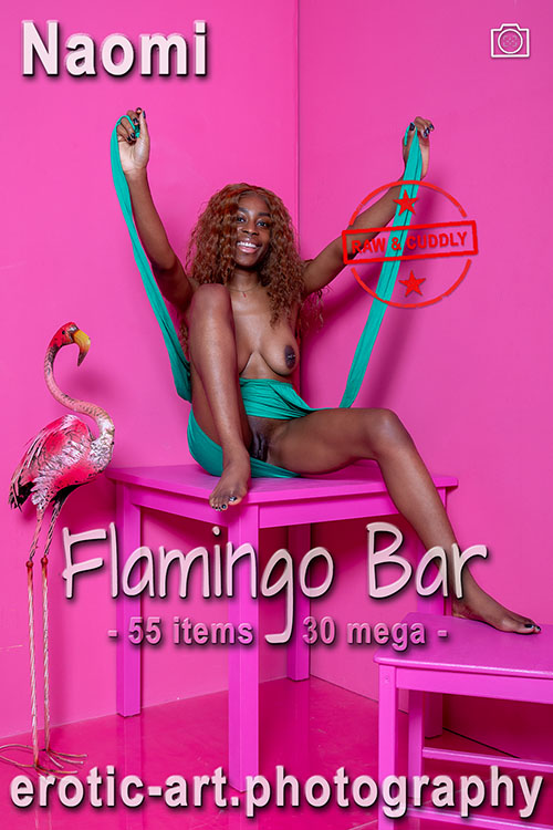 The Pink Series: Flamingo Bar. Actor: Naomi. Artist: Jay Gee. Production: Erotic Art Photography, EAP. The Pink Series: Flamingo Bar. Actor: Naomi. Artist: Jay Gee. Production: Erotic Art Photography, EAP.
