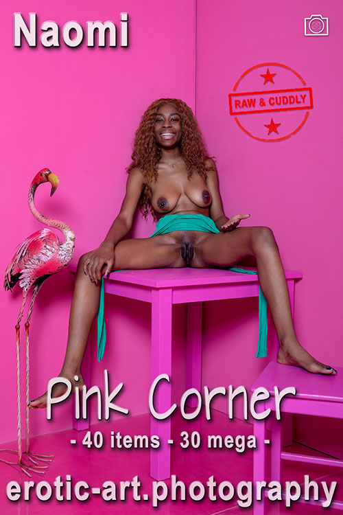 The Pink Series: Pink Corner. Hired: Naomi. Artist: Jay Gee. Production: Erotic Art Photography EAP. The Pink Series: Pink Corner. Hired: Naomi. Artist: Jay Gee. Production: Erotic Art Photography EAP.